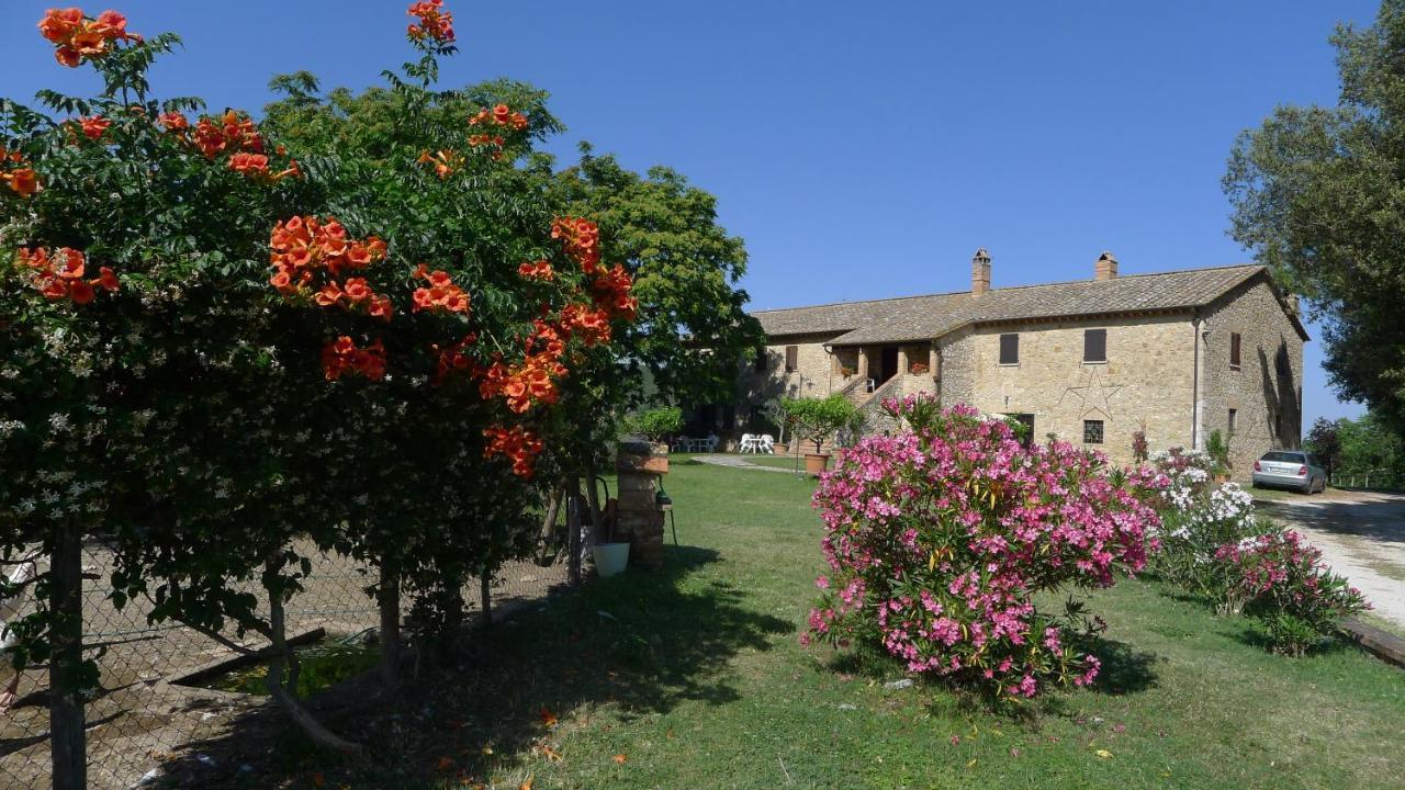 Вілла Agriturismo Podere Luchiano Амелія Екстер'єр фото