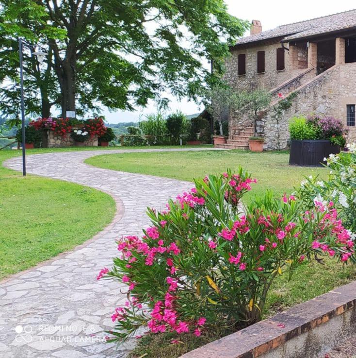 Вілла Agriturismo Podere Luchiano Амелія Екстер'єр фото