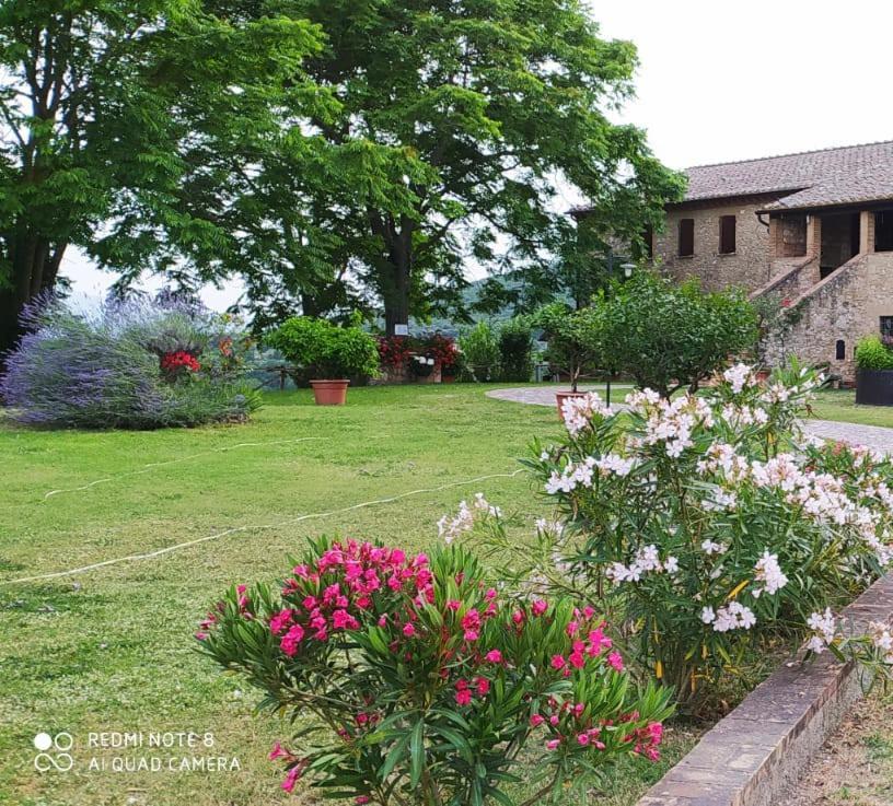 Вілла Agriturismo Podere Luchiano Амелія Екстер'єр фото