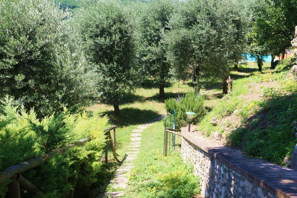 Вілла Agriturismo Podere Luchiano Амелія Екстер'єр фото