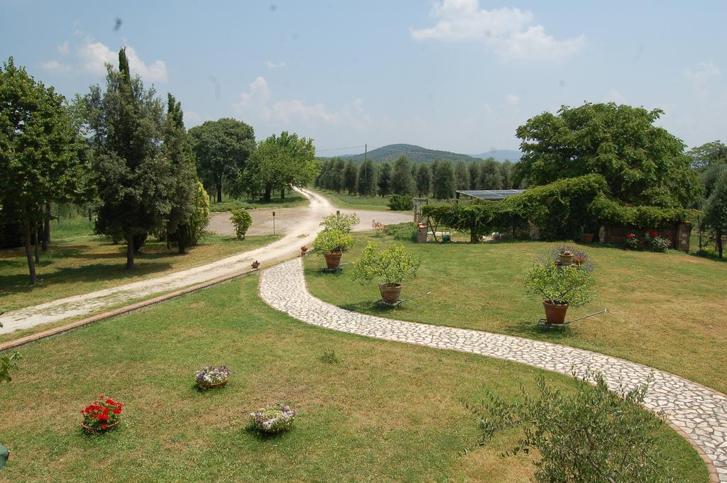 Вілла Agriturismo Podere Luchiano Амелія Екстер'єр фото